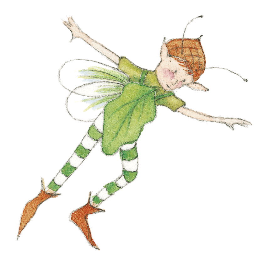 TTWS Fairy